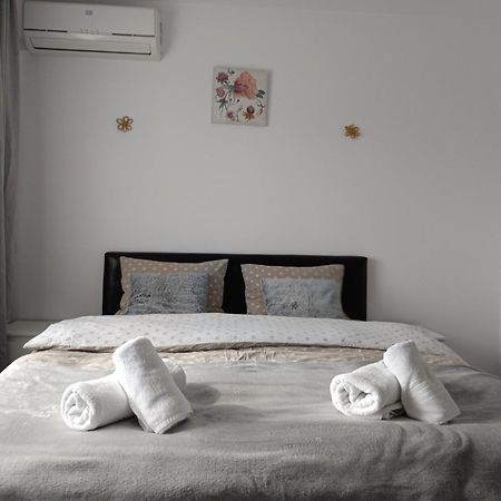 Farmec Apartament Kluž Exteriér fotografie